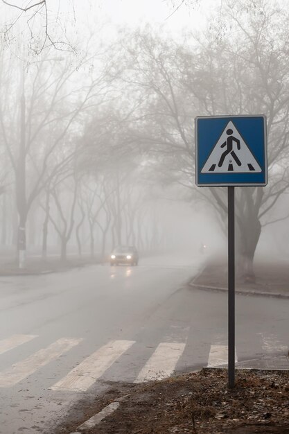 Scarsa visibilità nella nebbia sulla strada Auto che guida lentamente in condizioni meteorologiche pericolose Tempo di oscurità Concetto di traffico