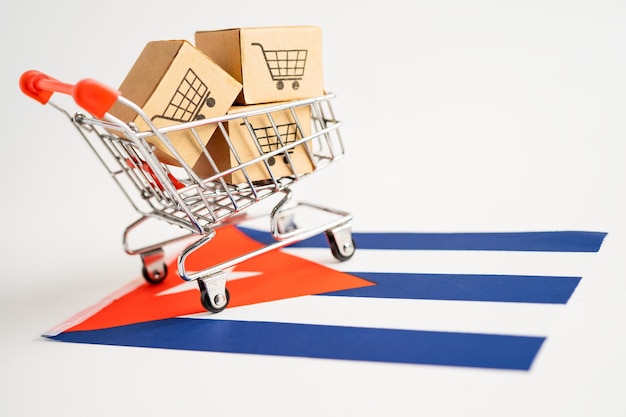 Scatola con il logo del carrello e la bandiera della Russia Import Export Shopping online o eCommerce finance servizio di consegna negozio prodotto spedizione commercio fornitore concetto