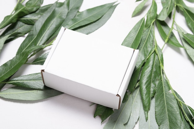 Scatola di cartone bianca con confezione ecologica di ramo di albero fresco