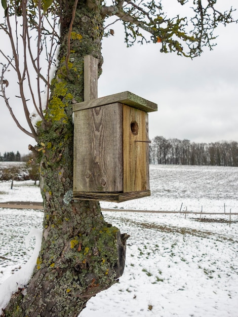 scatola per uccelli in legno