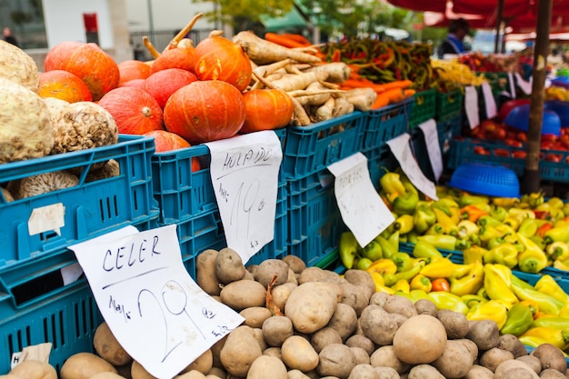 Scatole di plastica con zucche, patate e altre verdure fresche sul bancone.