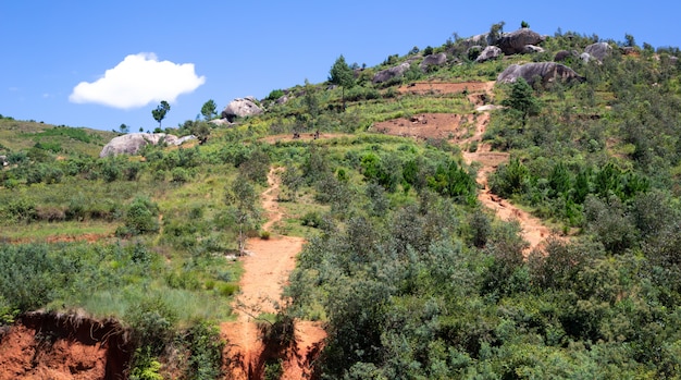 Scatti di paesaggi di campi verdi e paesaggi sull'isola del Madagascar