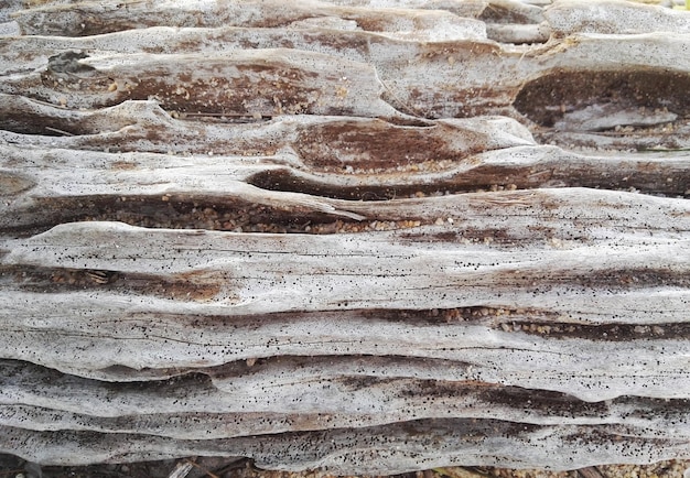 Scatto a telaio completo in legno