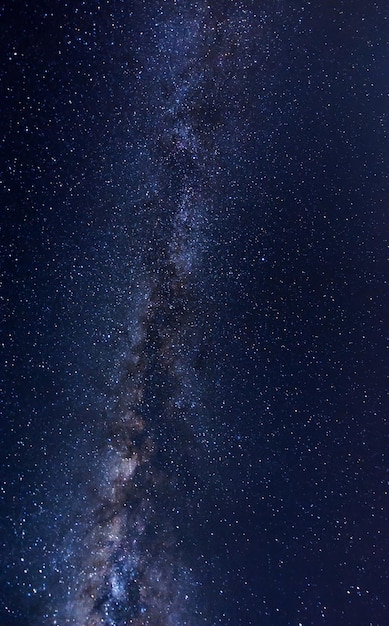 Scatto completo del campo stellare