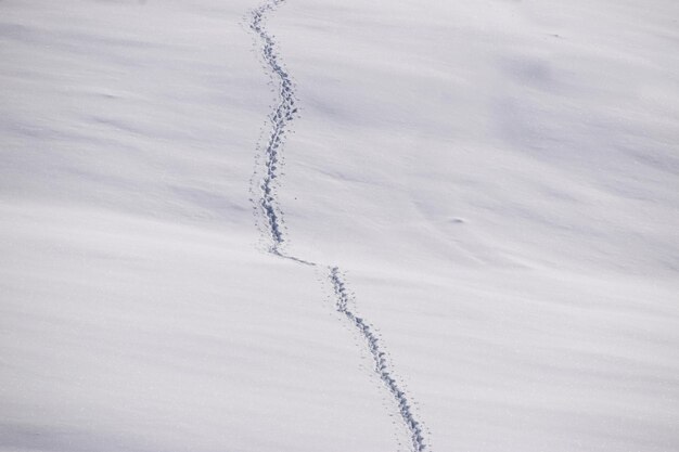 Scatto completo di terra coperta di neve