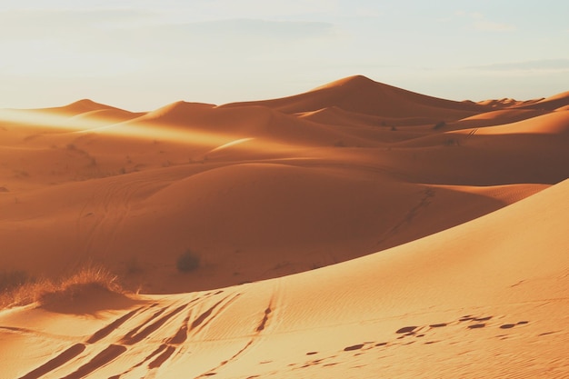 Scatto idilliaco di dune di sabbia nel deserto contro il cielo