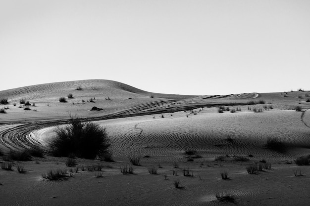 Scatto in scala di grigi di un bellissimo deserto a Dubai