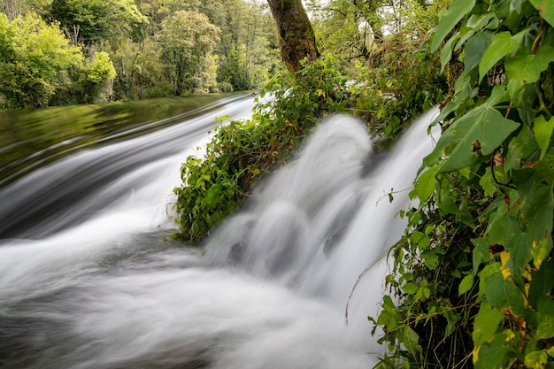 Scatto panoramico di un epico fiume naturale chiamato Dobra in Croazia circondato da una foresta