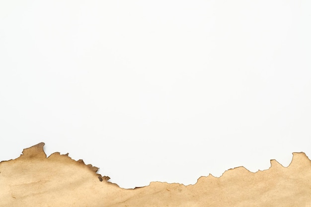 Scatto ritagliato di carta beige con superficie invecchiata con bordo bruciato su sfondo bianco Design creativo retrò con arte astratta Copia spazio
