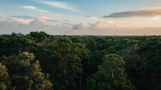 Scatto verticale di spessi alberi verdi e il cielo calmo con poche nuvole