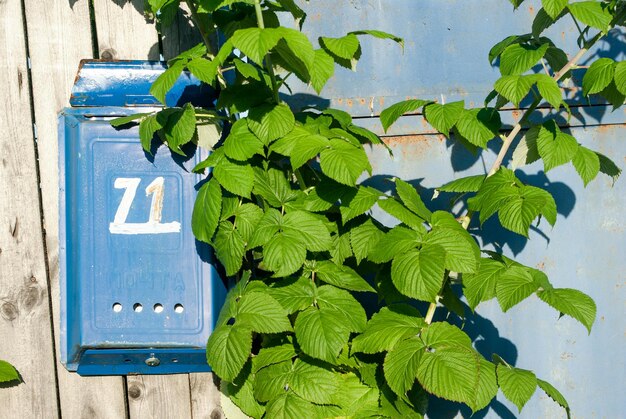 Scegli la cassetta postale giusta per le tue esigenze