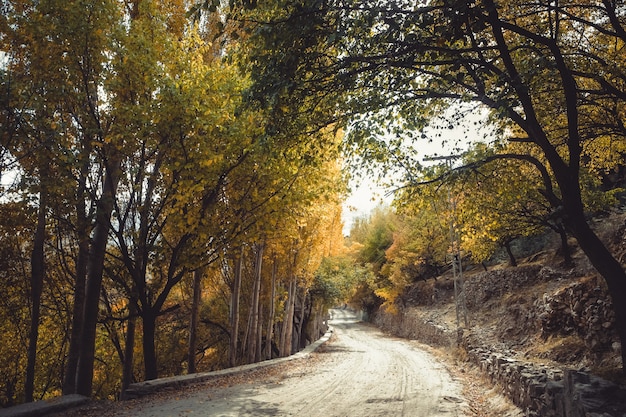 Scena autunnale in Gilgit Baltistan, Pakistan.