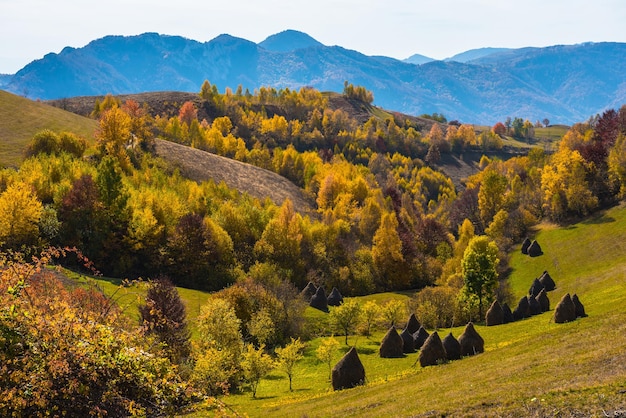 Scena autunnale in montagna