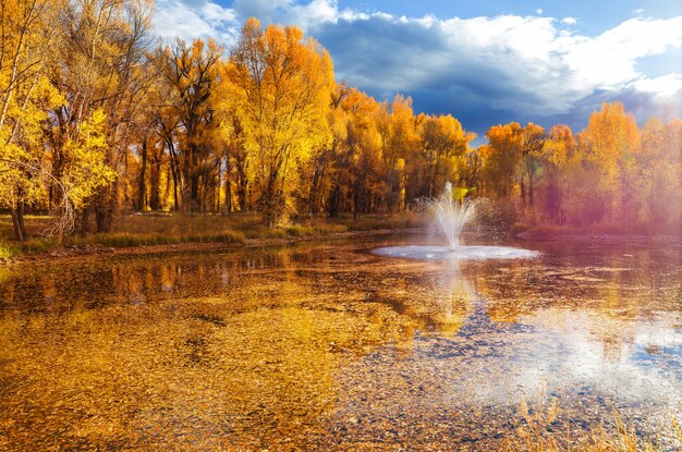 Scena autunnale nei toni del giallo