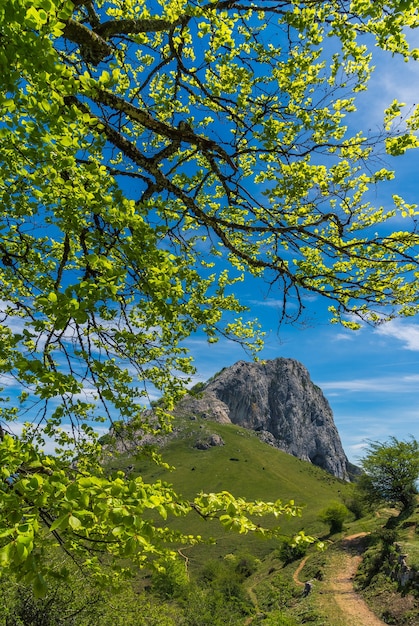 scena del monte mugarra in primavera