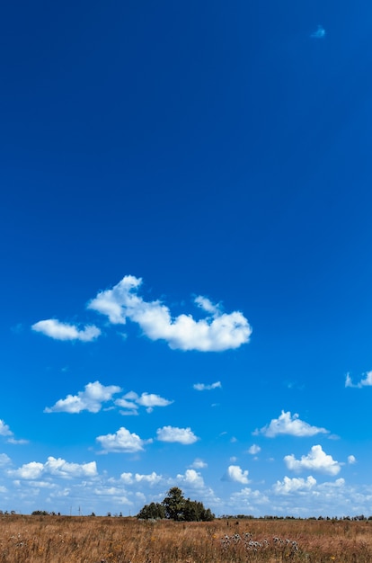 Scena del paese con campo contro il cielo blu