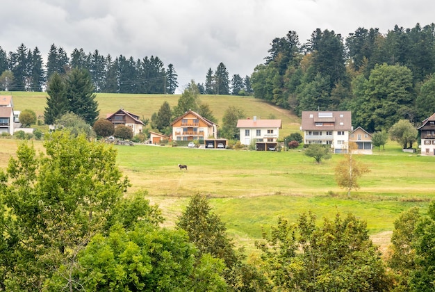 Scena della foresta nera in Germania