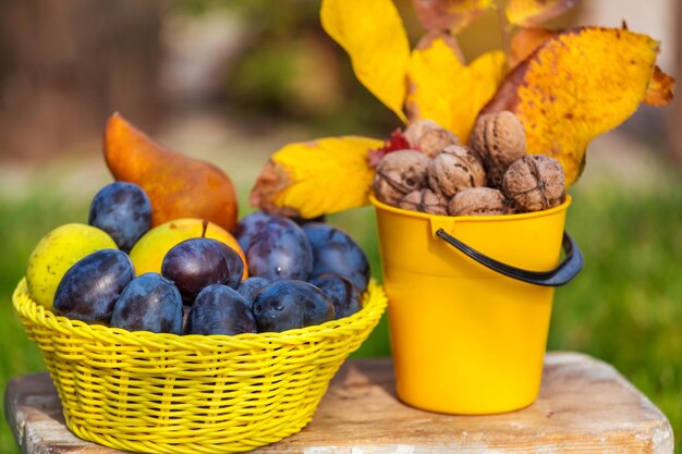 Scena della stagione autunnale con raccolto di frutta e noci in giardino. La bellezza dell'autunno.