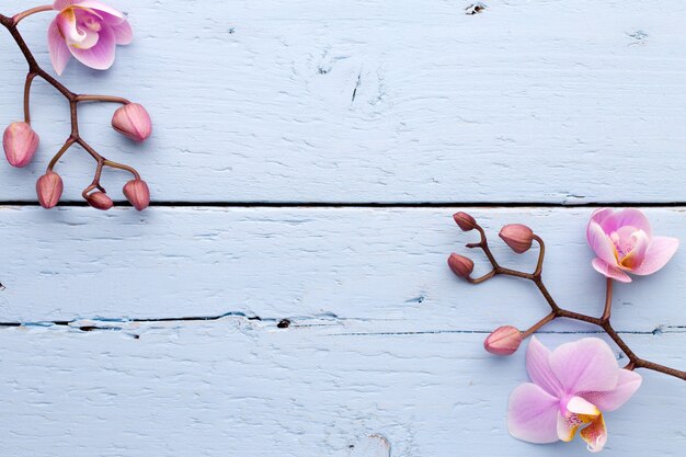 Scena della stazione termale su fondo di legno con orchidee.