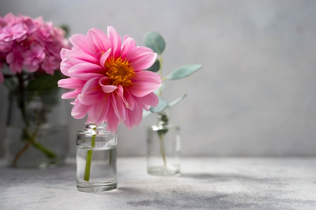 Scena di fiori rosa di natura morta Fiori di ortensie rosa e dalie in vaso di vetro su sfondo neutro fuoco selettivo morbido