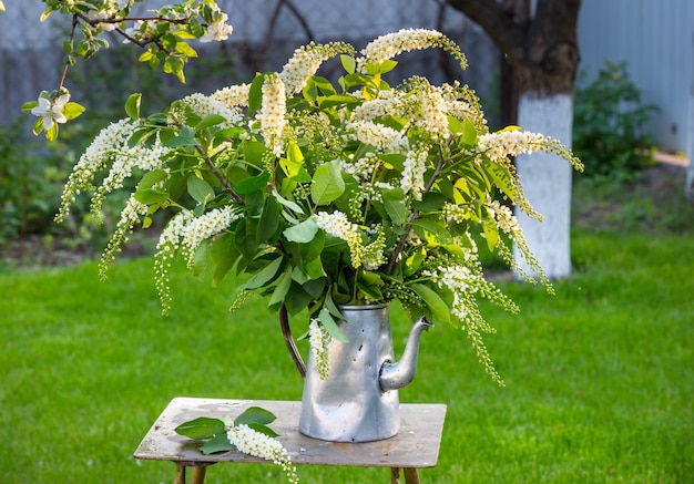 Scena di primavera nel giardino verde