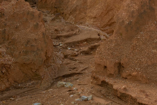 scena intorno alla terra deserta a causa della deforestazione e dell'estrazione della terra