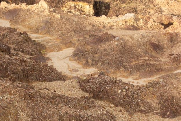 scena intorno alla terra deserta a causa della deforestazione e dell'estrazione della terra