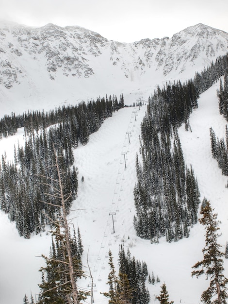 Scena invernale innevata in alta montagna. Montagne Rocciose del Colorado USA.