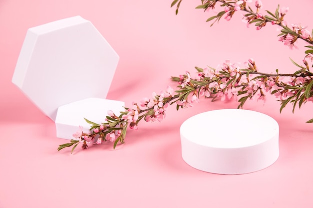 Scena minimalista con forme geometriche per la pubblicità di cosmetici su sfondo rosa