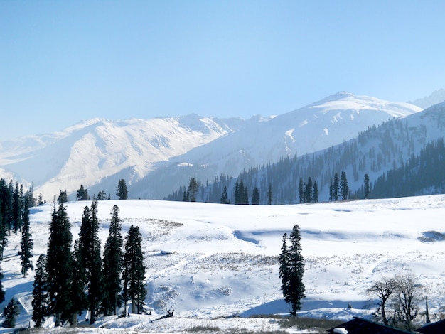 Scena naturale della montagna a Shimla