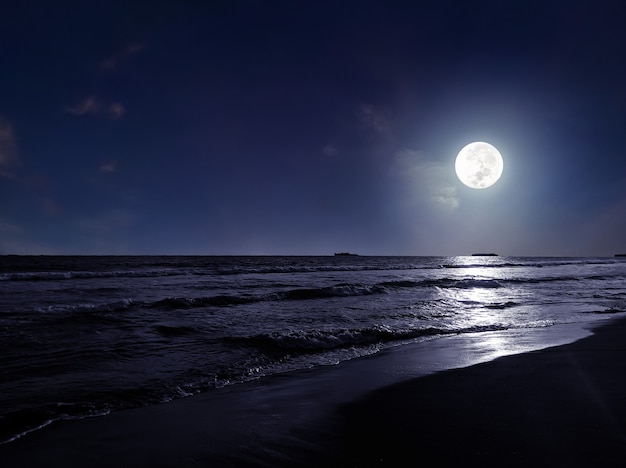 Scena notturna sulla spiaggia al chiaro di luna