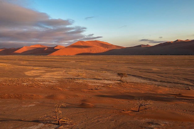 Scena panoramica del paesaggio del deserto del Namib di enormi dune rosse