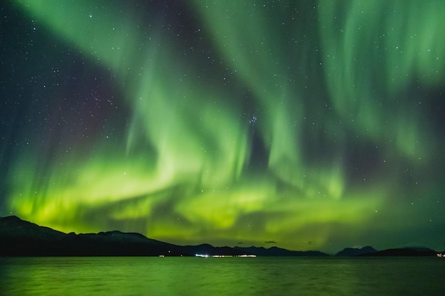 Scena panoramica delle luci del nord verdi nel cielo sopra un lago durante la notte a Lofoten, in Norvegia