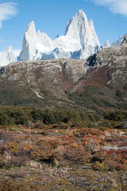 Scena panoramica di montagne innevate e foreste contro il cielo in autunno