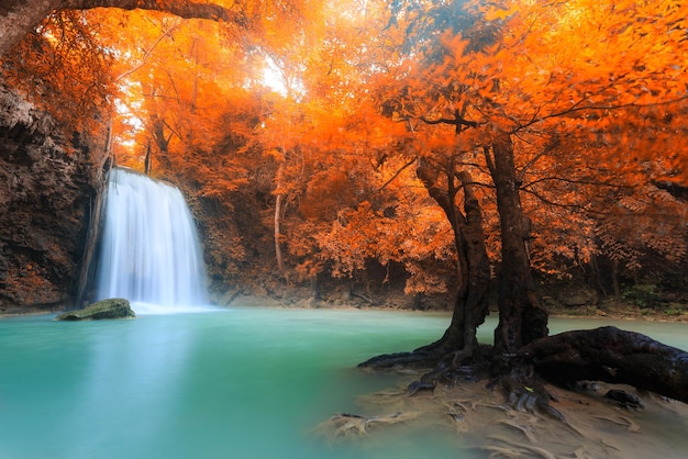 Scena panoramica di una cascata nella foresta durante l'autunno