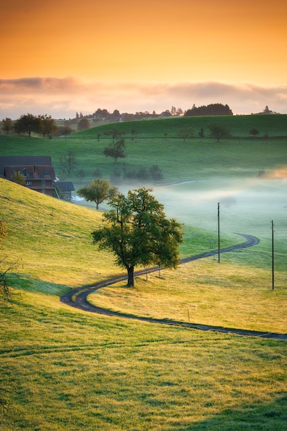 Scena rurale con un albero curvo e un piccolo villaggio nella valle e una mattina nebbiosa in Svizzera