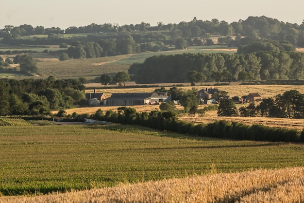 Scena rurale