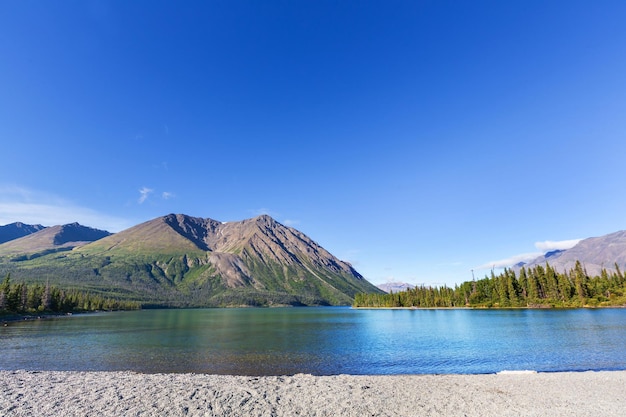 Scena serena in riva al lago in Canada