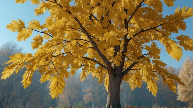 Scena triste d'autunno con il baldacchino dorato degli alberi