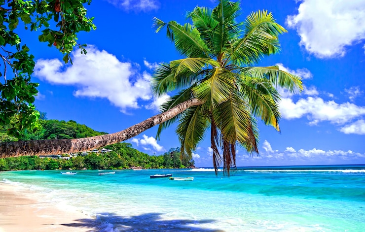 Foto scenari esotici di spiagge tropicali da sogno