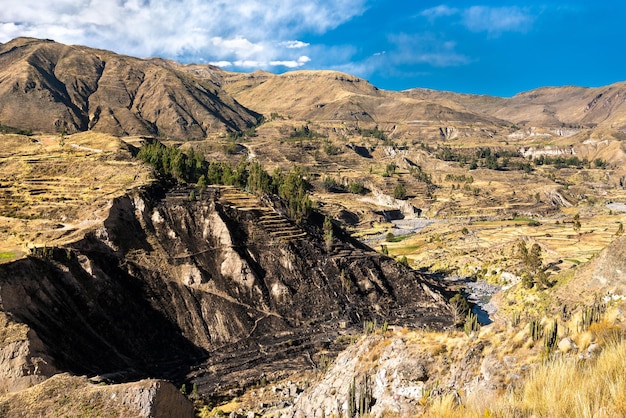 Scenario del Canyon del Colca in Perù