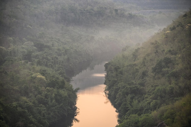 Scenario del fiume nella valle della foresta pluviale con nebbia al mattino