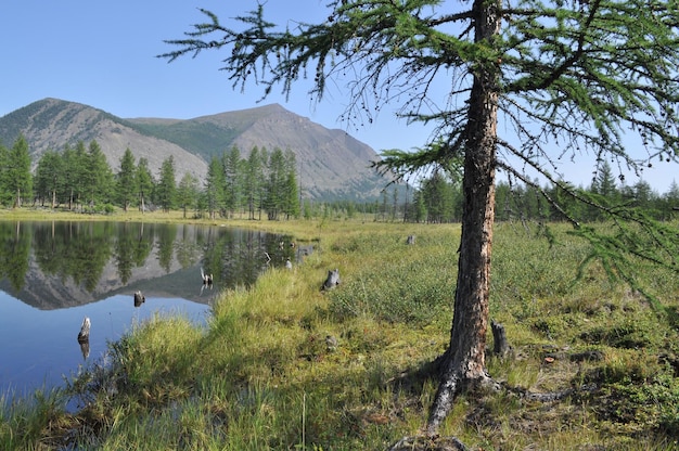 Scenario del lago e riflessi delle montagne