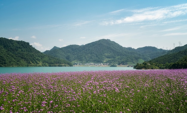 Scenario del lago Qiandao a Hangzhou