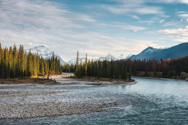 Scenario della catena montuosa e del fiume Athabasca che scorre attraverso la foresta di pini autunnali la sera al Parco nazionale di Jasper, Canada