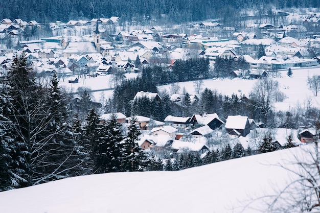 Scenario e paesaggio innevato nel villaggio di Bad Goisern vicino a Hallstatt nell'Alta Austria. Foresta e alberi con vista sulla neve. Punto di riferimento austriaco.