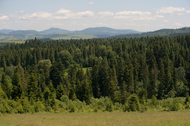 Scenario fotografico di montagne di foreste naturali contro il cielo