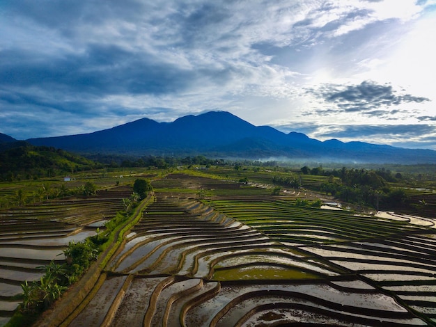 Scenario indonesiano con splendidi campi di riso e montagne in una mattinata di sole