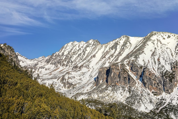 Scenario invernale in Slovacchia - alberi di conifere con picco Patria nelle montagne Tatra a distanza