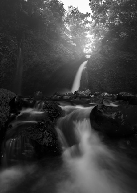 Scenario naturale della cascata della foresta tropicale indonesiana